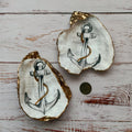 “ Steady “ Serenity Shells