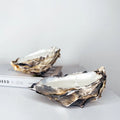 Set of Two or Three Recycled Oyster Candles