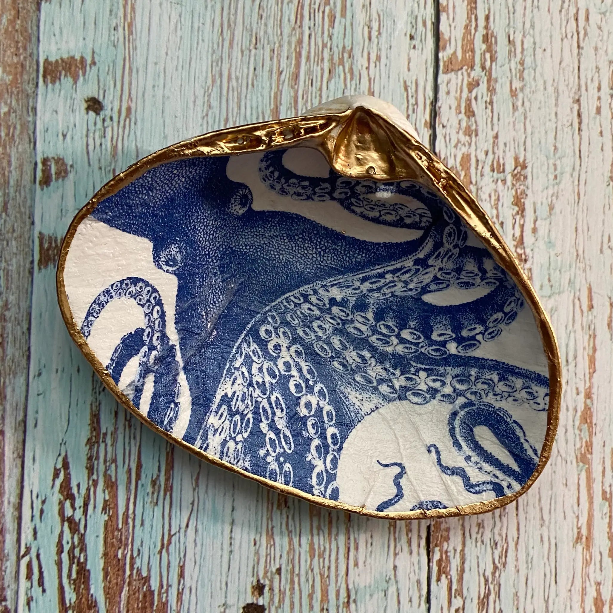 Octopus Shell